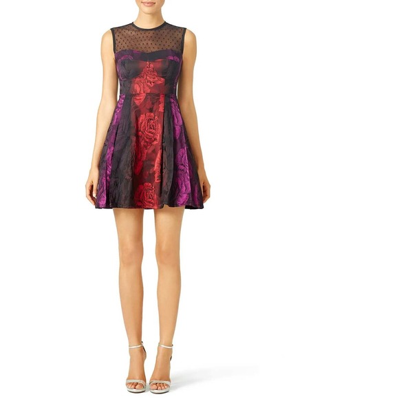 NANETTE LEPORE Juliet Rose Lace Trim Fit/Flare Dress EUC Size 12 - Picture 1 of 9